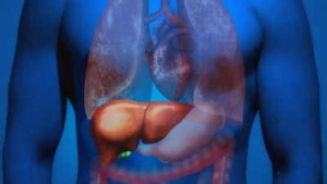 High Blood Pressure's Hidden Impact: 5 Liver Damage Signs You Shouldn't Ignore