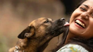Dog Kisses: Affectionate or Risky? Study Reveals Hidden Dangers of Canine Saliva