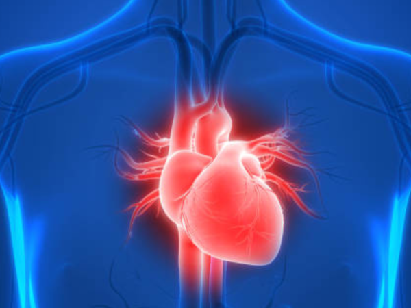 Water is essential for boosting heart health