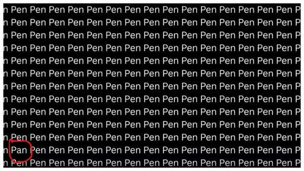 Solution to optical illusion: The hidden word is 'PAN'.