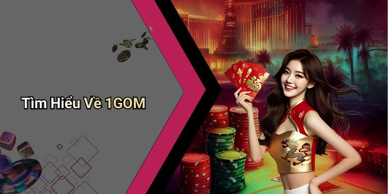 Tìm Hiểu Về 1GOM