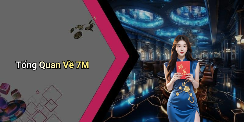 Tổng Quan Về 7M