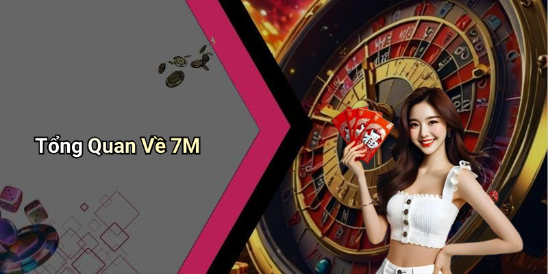 Tổng Quan Về 7M