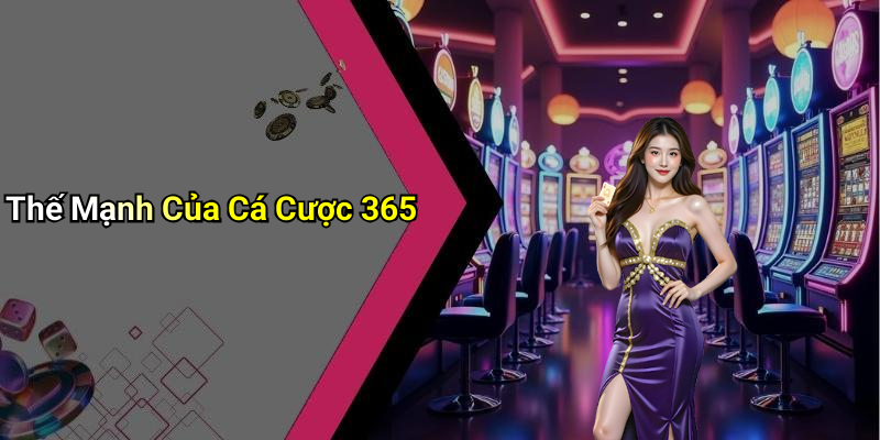 Betting 365: The Perfect Betting Solution For Online Players