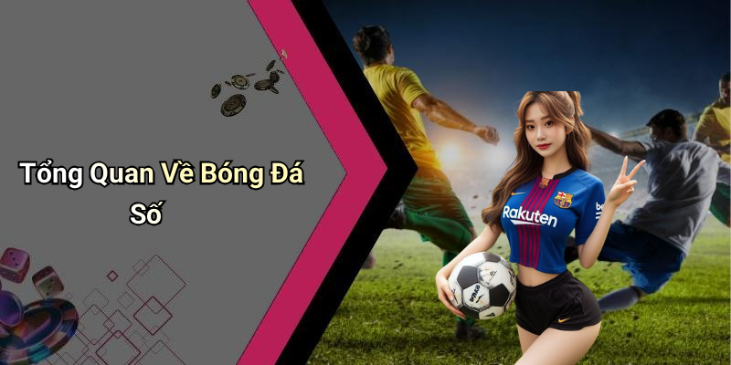 Tổng Quan Về Bóng Đá Số