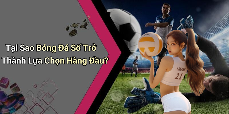 Tại Sao Bóng Đá Số Trở Thành Lựa Chọn Hàng Đầu?