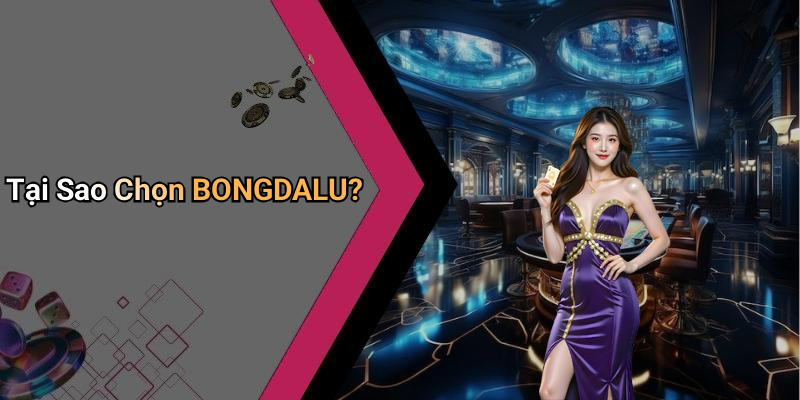 Tại Sao Chọn BONGDALU?