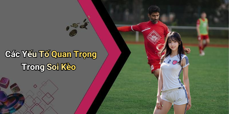 Các Yếu Tố Quan Trọng Trong Soi Kèo