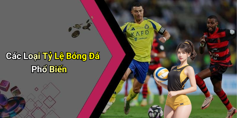 Các Loại Tỷ Lệ Bóng Đá Phổ Biến