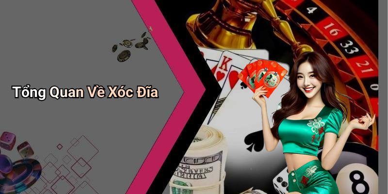 Tổng Quan Về Xóc Đĩa