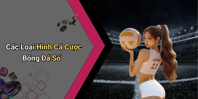 Các Loại Hình Cá Cược Bóng Đá Số