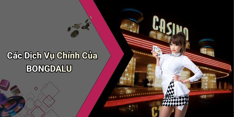 Các Dịch Vụ Chính Của BONGDALU
