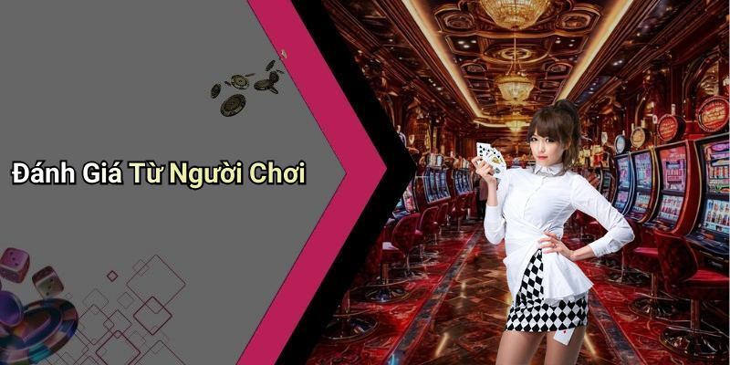 Đánh Giá Từ Người Chơi